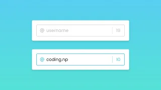 Limit Input Characters using HTML CSS JavaScript