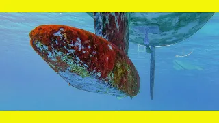 International Antifoul Paint, is this a joke?(Learning By Doing Ep156)