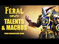 Feral Druid Dragonflight Guide - Easy Mode Talents Macros Demo