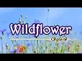 Download Lagu Wildflower - KARAOKE VERSION - As popularized by Skylark
