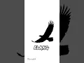 Download Lagu ELANG Dewa19 #shorts