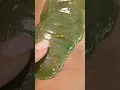 How To Wax Your Knees