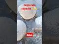Download Lagu #alamatebocah#trending#viral#shortsvideo