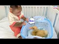 Download Lagu OMG! Lily got super confused being called “Mom”! | Lily's story