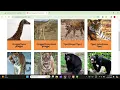 Zoo Management System Complete Project With Project Report PPT Source Code Shubham Techwave