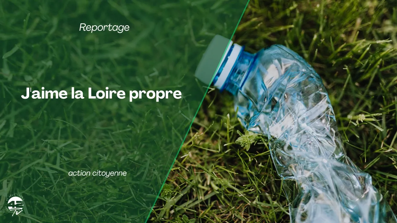 ⁣“J’aime la Loire propre” : 15 000 bénévoles mobilisés pour nettoyer la nature