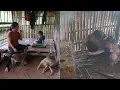 Download Lagu The seventh day of the mute mother building a bamboo house was full of difficulties and fatigue.
