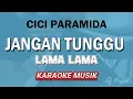 Lagu JANGAN TUNGGU LAMA LAMA - CICI PARAMIDA - KARAOKE