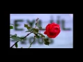 Download Lagu Kurtlar Vadisi Pusu   Bu Ask Yeni   Ozel Yapim
