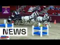 Download Lagu The Chardons charge the top in Budapest | FEI Driving World Cup™