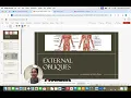 Understanding External Obliques a Masterclass