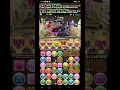 Knights Descended Nelle Kitty Planar - Puzzle And Dragons