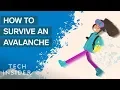 Download Lagu How To Survive An Avalanche