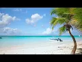 Mon compè ti bom (Visualizer) - Coupe Cloue