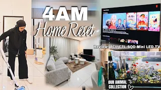 Rutin 4 pagi, animal collection, & life update with TCL C7L SQD-Mini LED TV