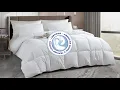 Serta Tencel and Cotton Blend Feather and Down Comforter - All Seasons