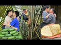 Download Lagu Daily life - Harvesting wild fruits, honey and blood vine plants for sale | Linh's Life