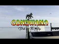 Gondwana - Dub in The Sky (Visualizer)