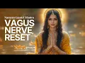 Lagu ☀️108𝐓𝐈𝐌𝐄𝐒  Vagus Nerve Reset✨Narayan Gayatri Mantra for Nervous System Healing #meditationmusic