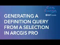 Generating a Definition Query from a Selection in ArcGIS Pro