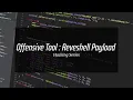 Reverse shell payload
