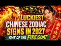 Luckiest Chinese Animal Zodiac Signs In 2027 Year Of The Fire Goat Fengshui