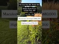 St Paul MN Real Estate Market Update August 10 17 2026