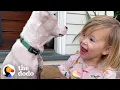2-Year-Old Girl Convinces Her Mom To Adopt A Deaf Puppy The Dodo Adoption Day