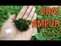 Lagu OBAT AMPUH || untuk luka