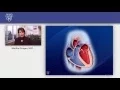 Wild-Type Transthyretin Cardiac Amyloidosis - Mayo Clinic
