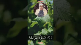 الشیخ محمد صدیق المنشاوي سورة فصلت 