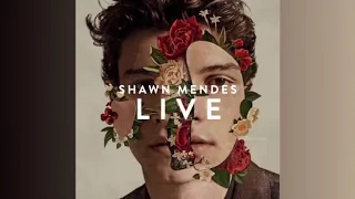 Download Shawn Mendes - Lost In Japan (LIVE IN LA) MP3