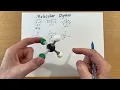 Molecular Dipoles
