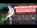 Download Lagu BLACKTHROAT GACOR SUARA JERNIH UNTUK MASTERAN KENARI #90
