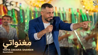 مغنواتي دندنها
