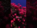 Download Lagu Jannatein Agar Yahin Tu Dikhe Kyon Nahi ❤️🥀 | Hamari Adhuri Kahani | editor afroz 10 #arijitsingh