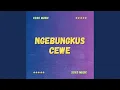 Download Lagu NGEBUNGKUS CEWE (Remastered 2024)