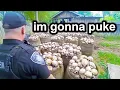 Download Lagu Police Horrified When They Search a Backyard