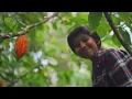 Kes - Cocoa Tea (Steelpan Cover by Aiden Ramsumair)