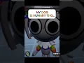 Download Lagu DANDY FORCIBLY ME TO BUY HIS STUFF !! 😤😮‍💨 #roblox #robloxedit #dandysworld #dandysworldroblox