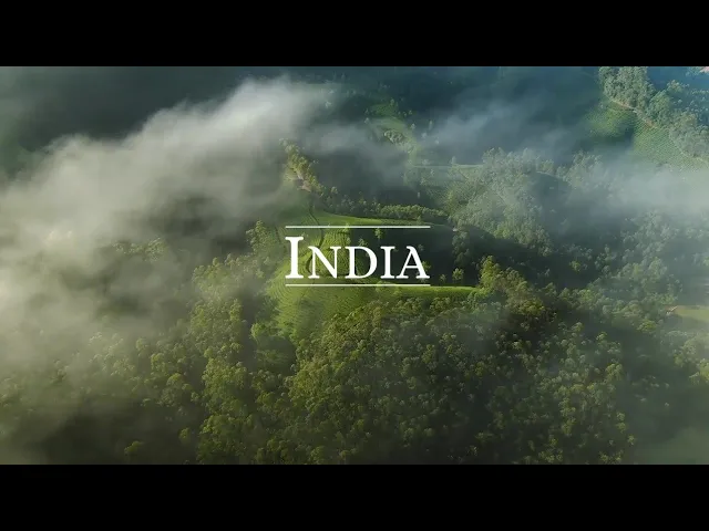 Download MP3 Welcome to India ! [CINEMATIC TRAVEL FILM]