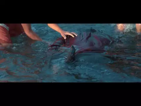 El Silencio del Río (Trailer) - Categoría: Colombia #IndieBo2016