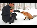Download Lagu Best Animals Turned the Camera on the Photographer 🤪 Funny Animal Videos 2025