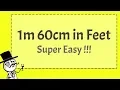 1 60 CM in FEET - Super Easy