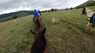 Hell s A-Rourin 1 hour horseback riding and cowboy dinner Gardiner Montana July 2020