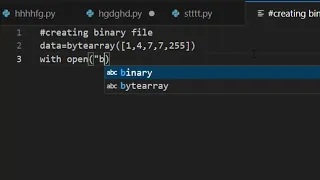 How to create binary file in Python on vs code COMPUTEREXCELSOLUTION