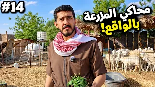 من 0 الى شركة #14 : اشتغلت في مزرعه 👨‍🌾🐔!