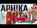 ВІА «Арніка» - В Самборі | BigBitUA
