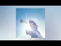 Geese - Au Pays du Cocaine
