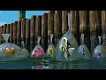 Finding Nemo 2003 - Post Credit Scene